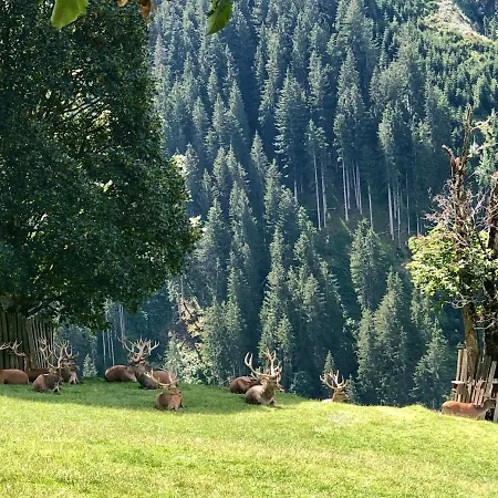 Haizelrock Kirchberg in Tirol Exterior photo