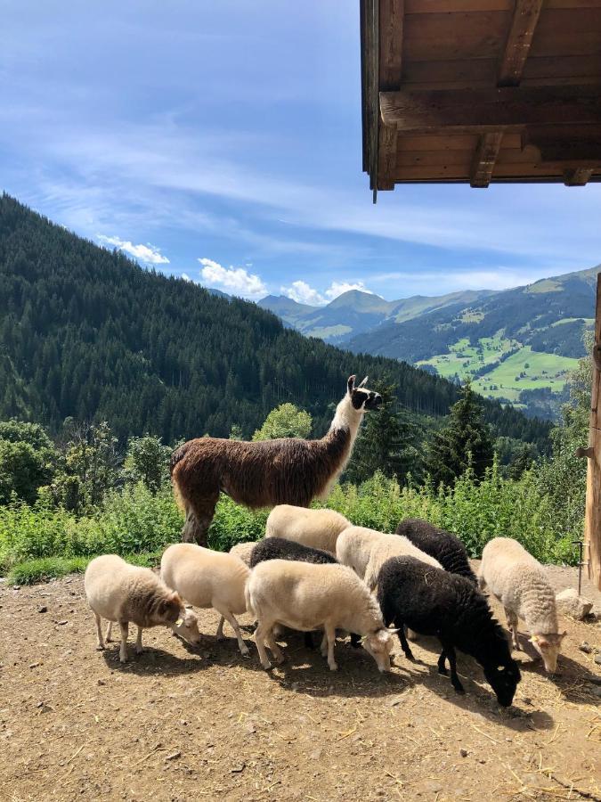 Haizelrock * Kirchberg in Tirol